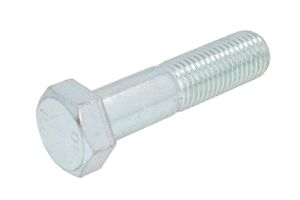 Śruba STR-M24X3/100-1
