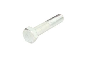 Śruba STR-M24X3/120-1