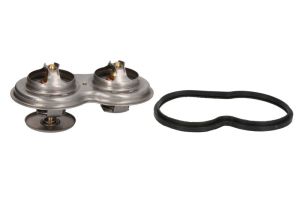 Termostat środka chłodzącego TH7106.83J