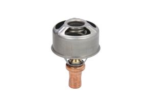 Termostat środka chłodzącego TH4495.86