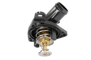 Termostat środka chłodzącego TH6959.78J