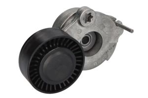 Napinacz paska wieloklinowego SW30943750