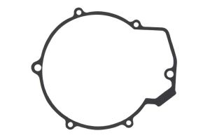 Uszczelka pokrywy alternatora S410220028004