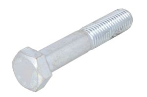 Śruba STR-M18X2,5/100-1